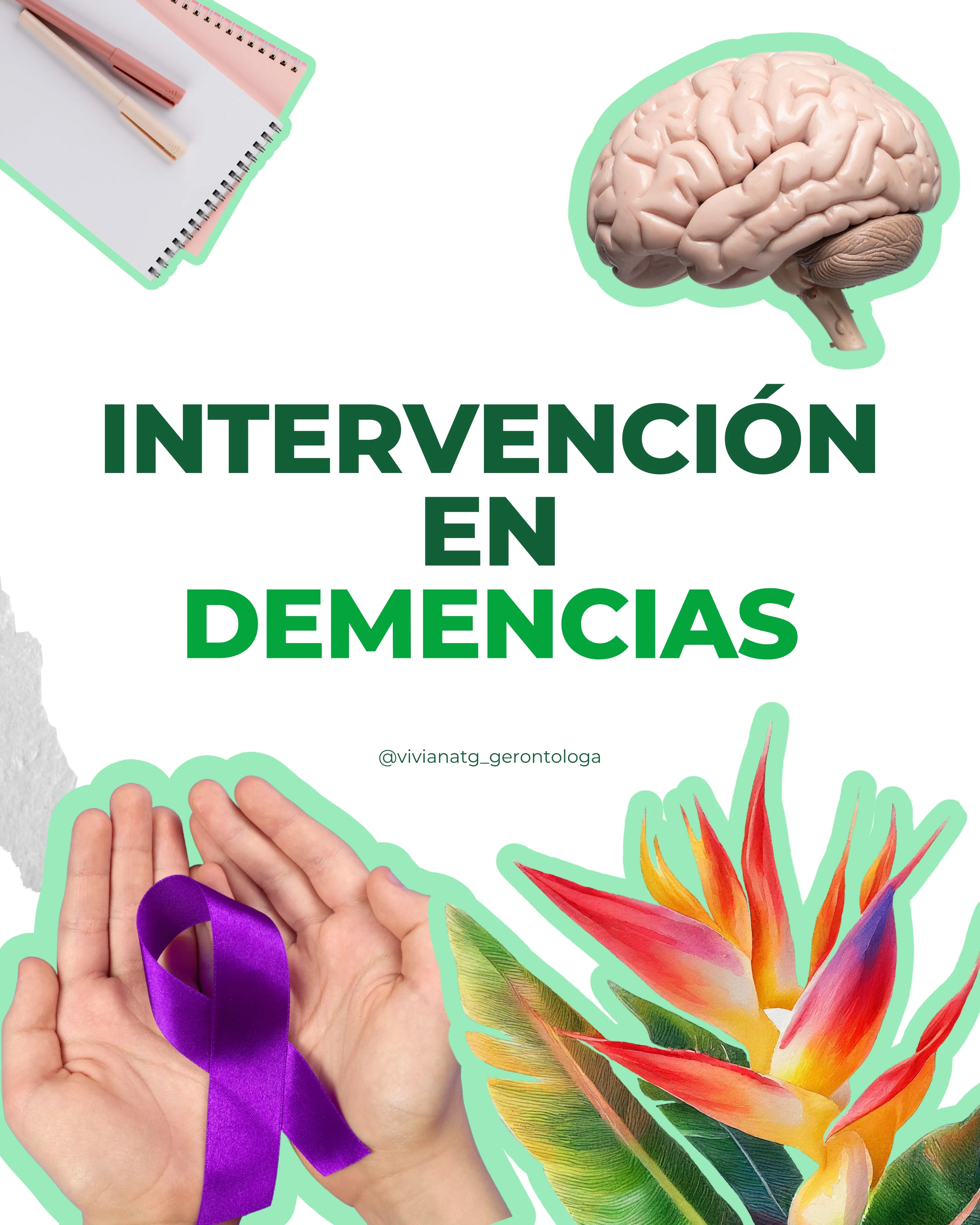 Imagen representativa de Intervención en Demencias
